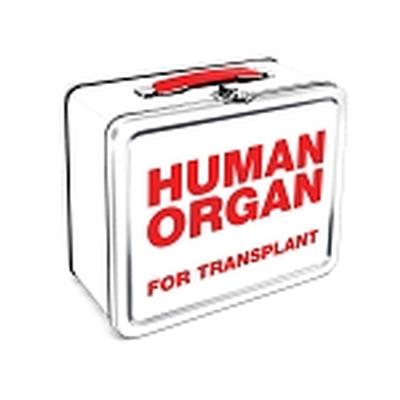 Click to get Human Organ Lunch Box