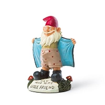 Click to get Perverted Little Gnome