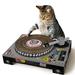 Cat Scratch DJ Booth